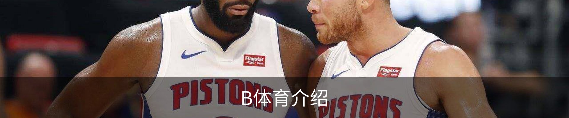 B体育介绍